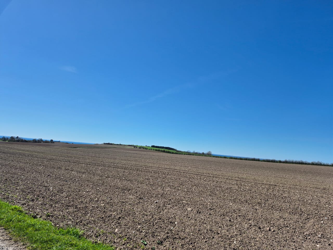 Agricultural Consultancy and farm planning Uganda